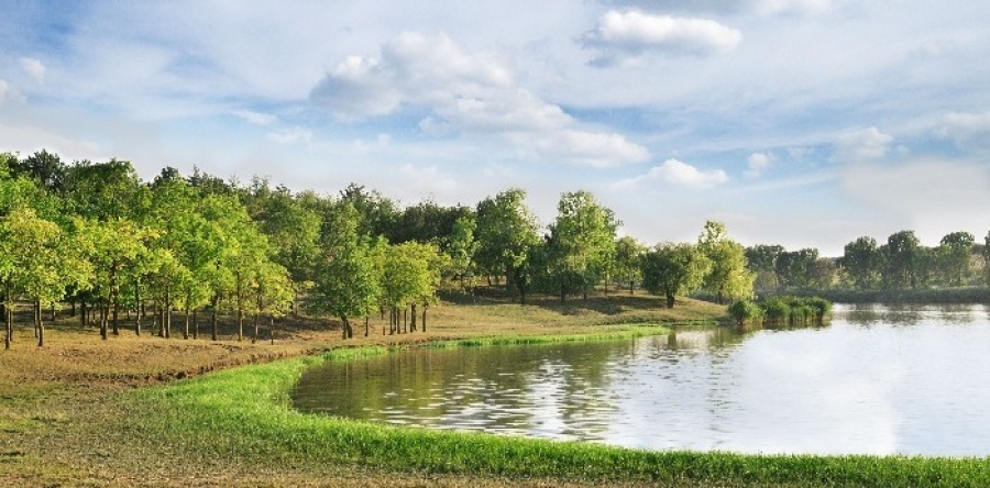 Terra pond software
